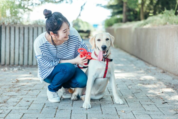 大型犬がドッグラン利用するときの注意点