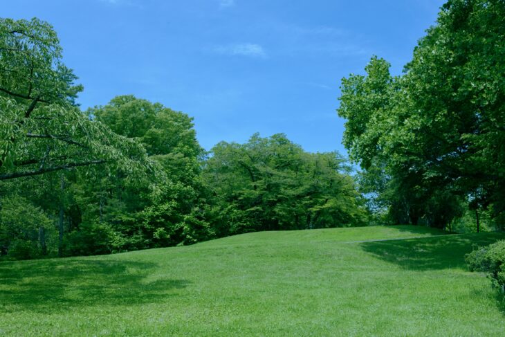 埼玉県のおすすめの大きい公園１０選