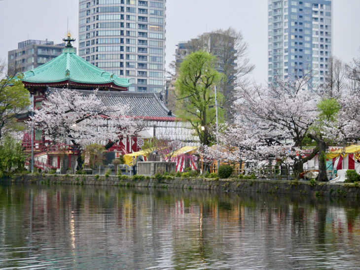 埼玉県で定期的にイベントが開催される公園１０選