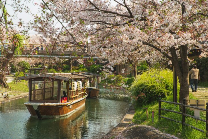 埼玉の花の見頃の時期