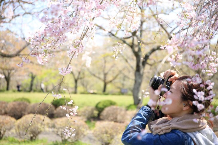 春の旅行を楽しむポイント