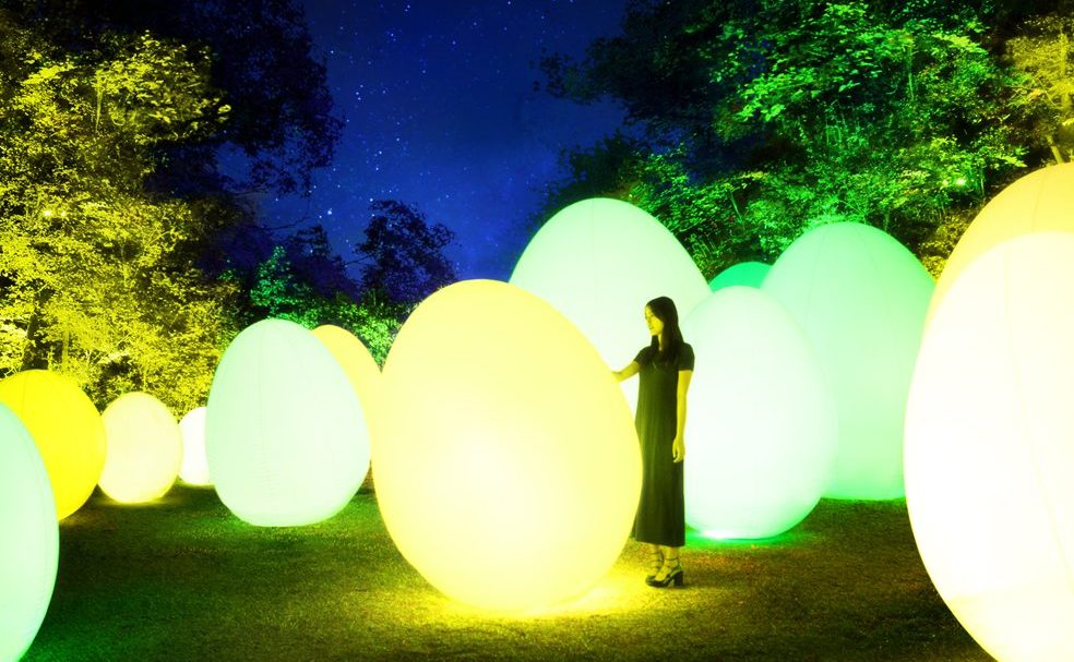 12月1日（土）から「チームラボ 森と湖の光の祭」を開催 埼玉県飯能市にオープンする「メッツァビレッジ」の宮沢湖と湖畔の森を インタラクティブな光のアート空間に。