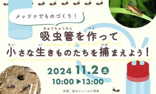 メッツァでものづくり！吸虫管を作って小さな生きものたちを捕まえよう！