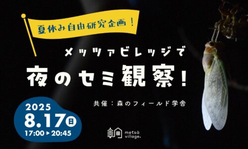 【夏休み自由研究企画】メッツァビレッジで夜のセミ観察