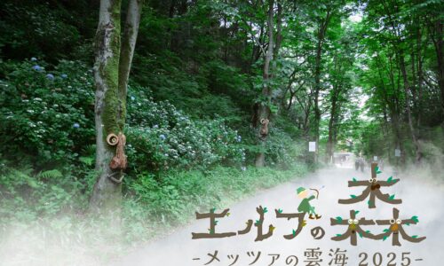 エルフの森－メッツァの雲海2025－