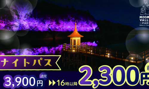 ナイトパスでムーミンバレーパークを楽しもう！