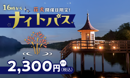 【ナイトパス】夕方からムーミンバレーパークを楽しもう！