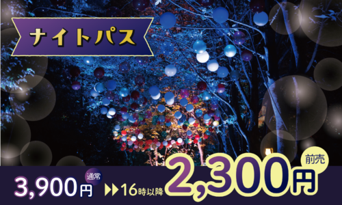 ナイトパスでムーミンバレーパークを楽しもう！