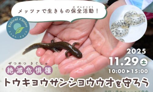 絶滅危惧種　トウキョウサンショウウオを守ろう　-第5弾 環境整備編-