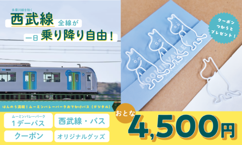 【期間限定】はんのう満喫！ムーミンバレーパークおでかけパス（デジタル）