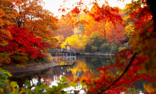ムーミンバレーパーク・紅葉シーズン到来