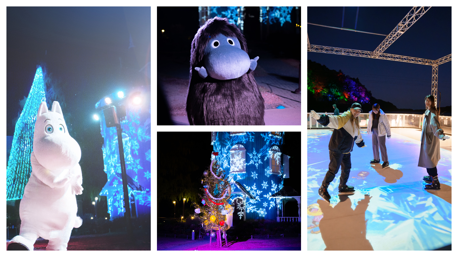 ルミナスナイトショー