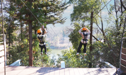 ふたりで飛べば怖くない！？【期間限定】ペアジップライン