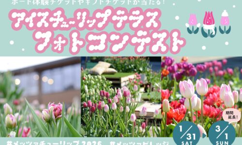 メッツァアイスチューリップテラス2026フォトコンテスト　入賞作品ご紹介中！
