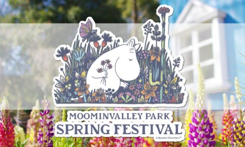 SPRING FESTIVAL 2026