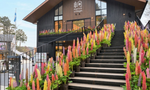 メッツァルピナステラス