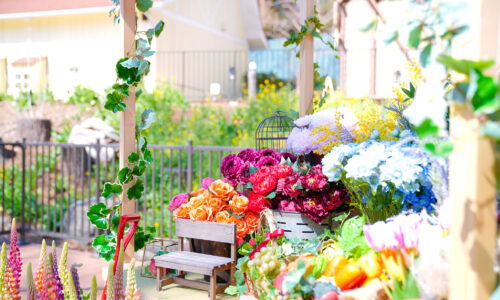 花と物語のテラス