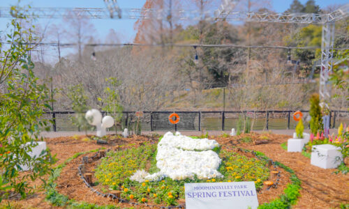 湖上のフラワーテラス