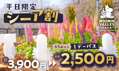 65歳以上が対象！【シニア割】（平日限定）