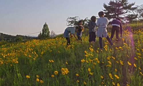 夏至祭で草花あそび〜草木染めで自然をたのしもう！〜