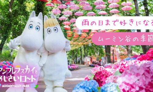 アンブレラスカイとあじさいロード