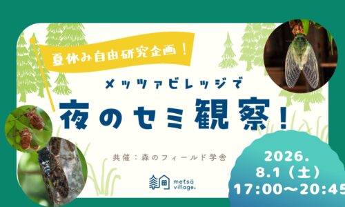 夏休み自由研究企画！メッツァビレッジで夜のセミ観察