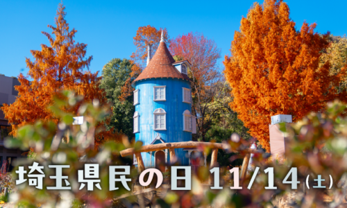11月14日（土）埼玉県民の日はメッツァ（ムーミンバレーパーク・メッツァビレッジ）へ！